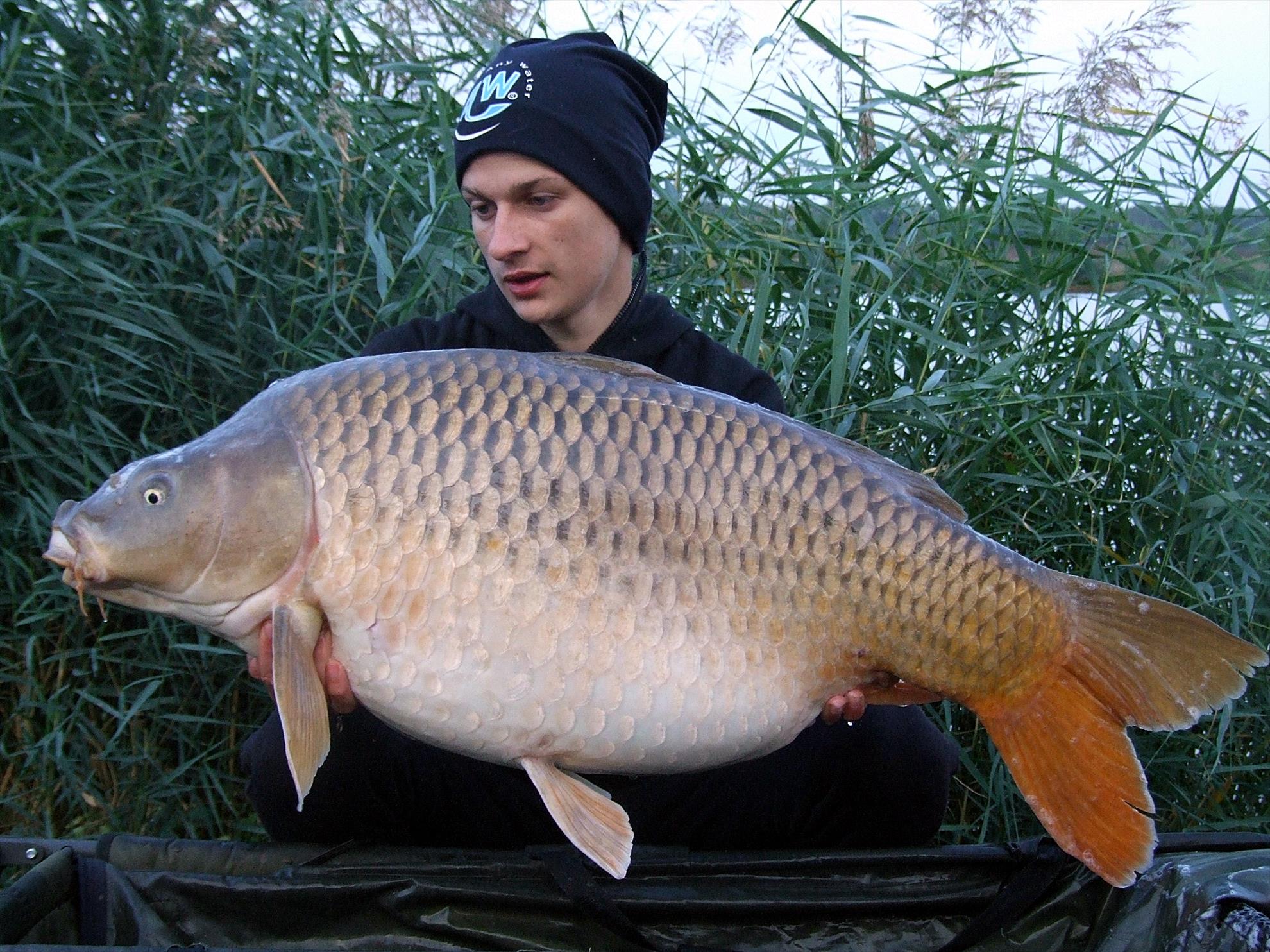 Lacul Moby Dick - New Personal Best Common Carp